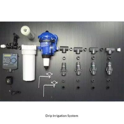 HDPE PP Τεχνητή υδροπονική κρεμαστή φούσκα για πράσινη φύτευση Σύγχρονο πλαστικό