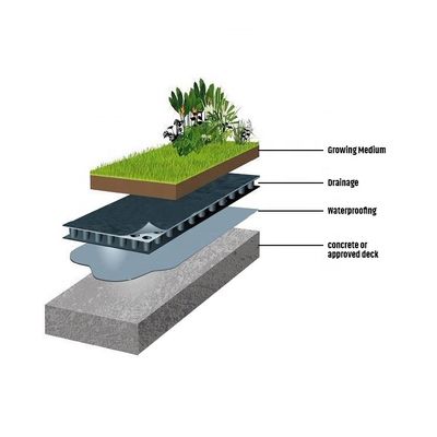 HDPE βυθωμένη πράσινη οροφή κήπο Ίδρυμα μεμβράνη για 4 Ποσότητα ανά τετραγωνικό μέτρο