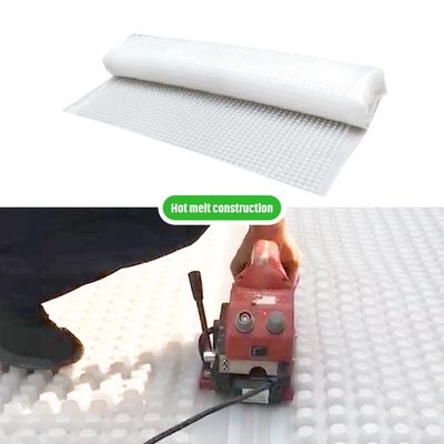 Πράσινη οροφή Μοντυλικό σύστημα Hdpe Dimple μεμβράνη αποστράγγιση Mesh Mat Board