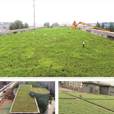 Περιβαλλοντικά φιλικό σύστημα Sedum Green Roof Modular Tray για φύτευση λουλουδιών και λαχανικών