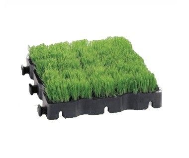 330*330*50MM HDPE πορώδες χόρτο λιθόστρωτο πλαστικό χόρτο πλέγματα για το χώρο στάθμευσης οδικής οδού